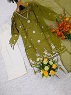 Viscous Silk Embriodery Straight Kurta Suit Set